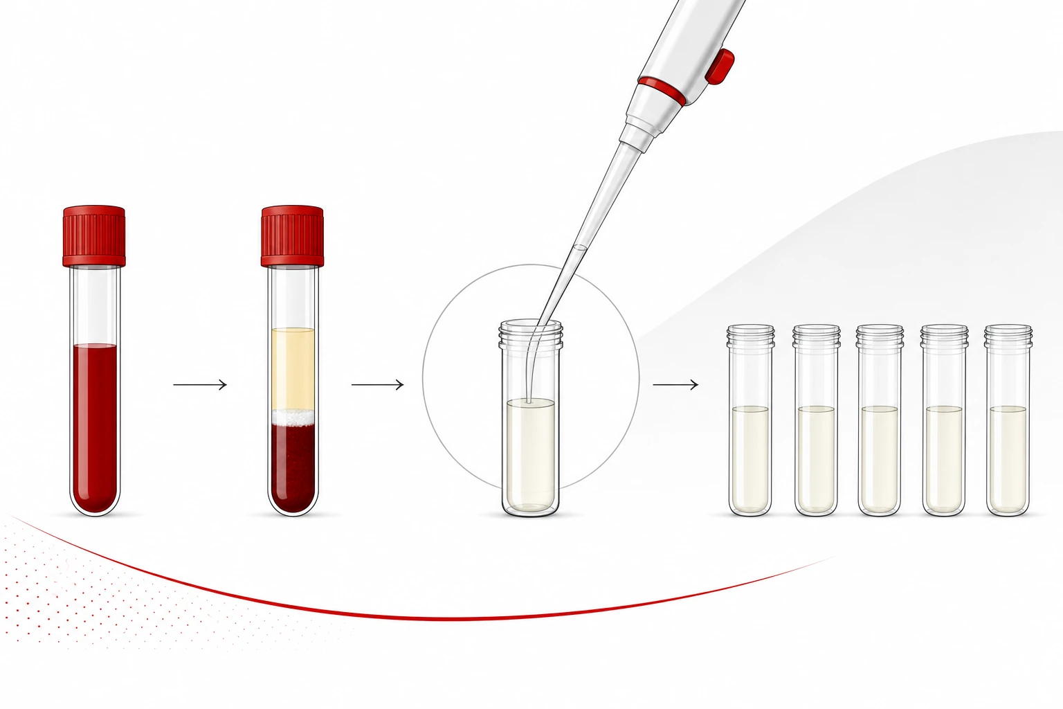 Illustration showing where plasma preparation and dilution sit in the workflow